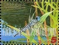 FindYourStampsValue: Dragonflies: Acisoma panorpoides panorpoides - 蜻蜓: 池塘蜻蜓: 粗腰蜻蜓