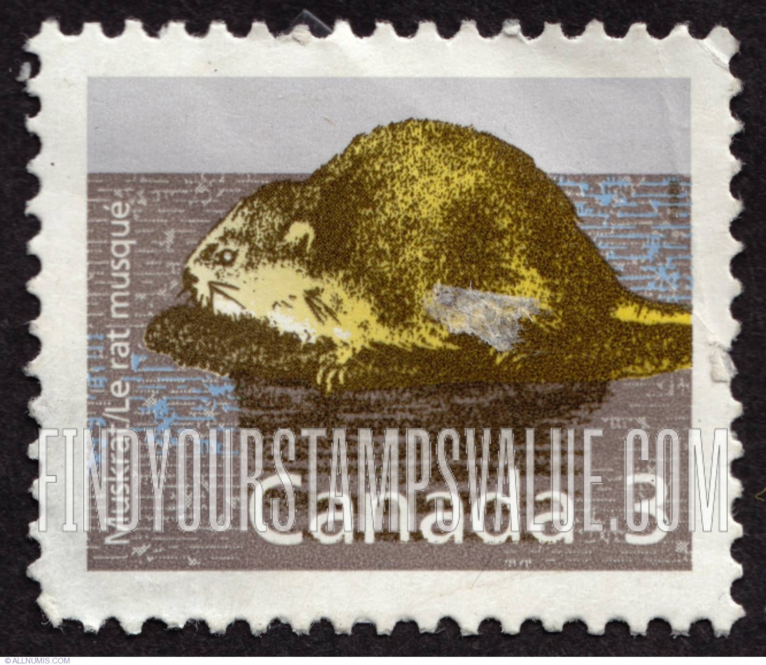 FindYourStampsValue: Mammals: Muskrat