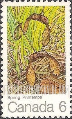 FindYourStampsValue: Spring, Winged Maple Seeds
