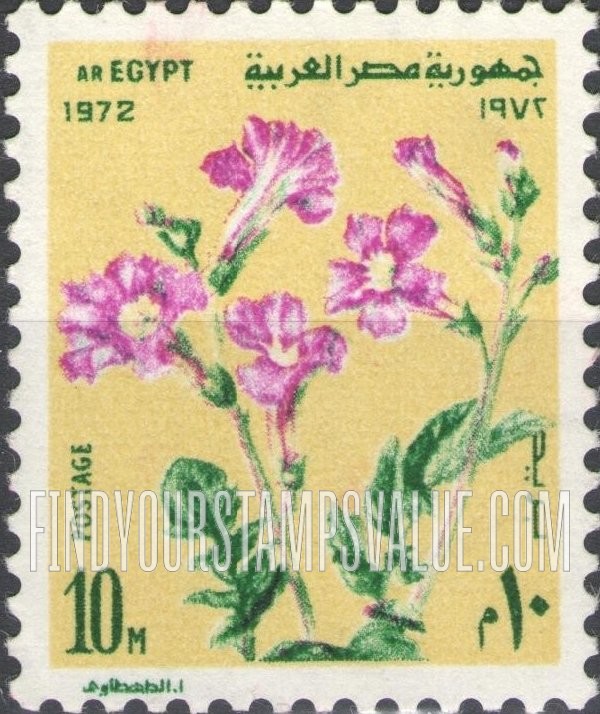 FindYourStampsValue: Morning glory - زهرة نجمة الصبح