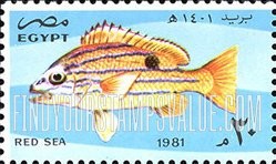 FindYourStampsValue: 50th anniversary of Al-Ghardaka Marine Biological Station - الذكرى السنوية الخمسون لمحطة الغردقة البحرية البيولوجية