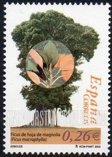 FindYourStampsValue: Trees: Ficus macrophylla