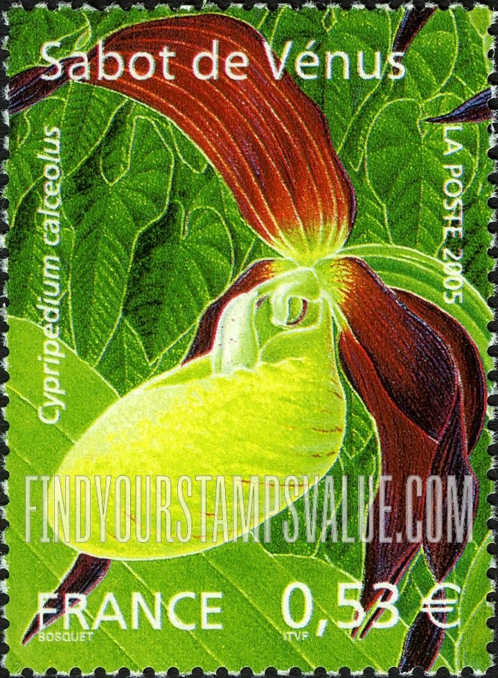FindYourStampsValue: Orchids: Cypripedium calceolus
