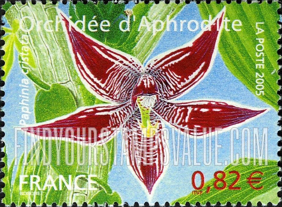 FindYourStampsValue: Orchids: Paphinia cristata, horizontal