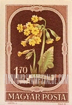 FindYourStampsValue: Cowslip