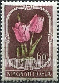FindYourStampsValue: Tulip