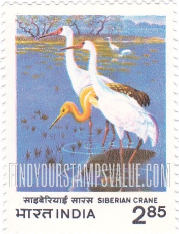 FindYourStampsValue: Republic of India: Siberian cranes - भारत गणराज्य: साइबेरियाई सारस