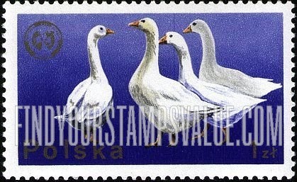 FindYourStampsValue: Geese
