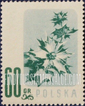 FindYourStampsValue: Sea Holly
