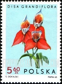 FindYourStampsValue: Orchids: Disa grandiflora