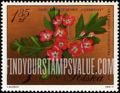 FindYourStampsValue: Blossoms: Red hawthorne