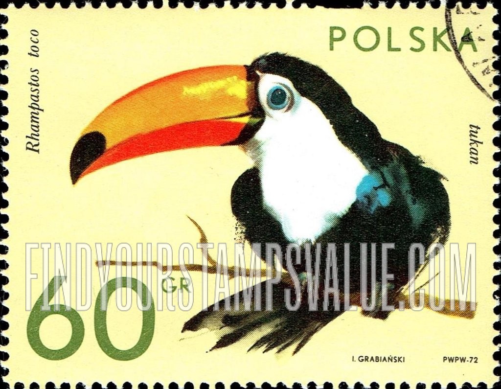 FindYourStampsValue: Zoo Animals: Toco toucan