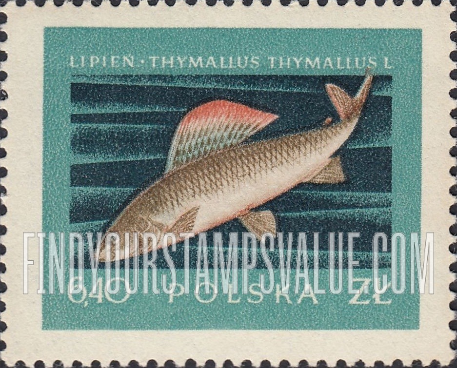 FindYourStampsValue: Fishes: Grayling