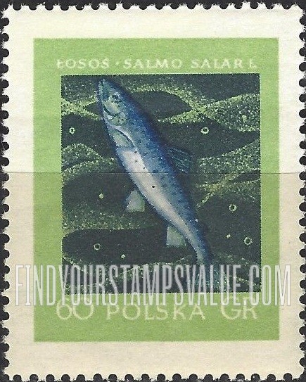 FindYourStampsValue: Fishes: Salmon, vertical