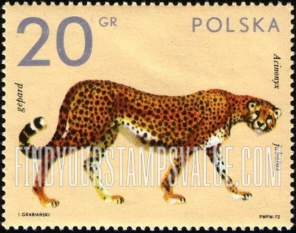 FindYourStampsValue: Zoo Animals: Cheetah
