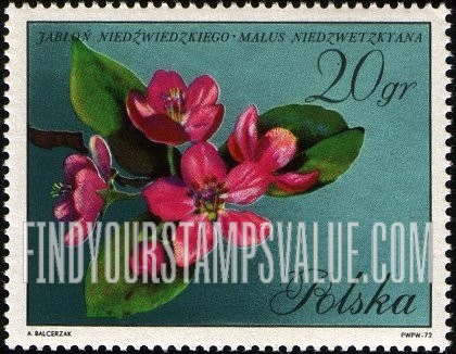 FindYourStampsValue: Blossoms: Niedzwiecki’s apple
