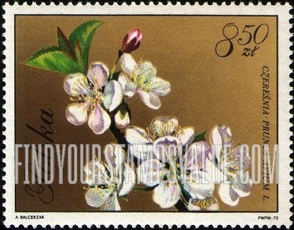 FindYourStampsValue: Blossoms: Cherry