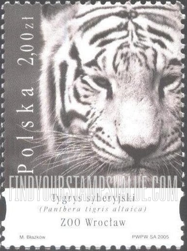 FindYourStampsValue: Zoo Animals: Panthera tigris altaica, Wroclaw Zoo