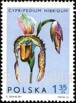 FindYourStampsValue: Orchids: Cypripedium hibridum
