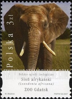 FindYourStampsValue: Animals in Polish Zoos: Loxodonta africana, Gdansk Zoo