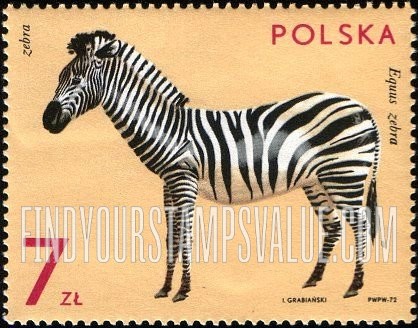 FindYourStampsValue: Zoo Animals: Zebra