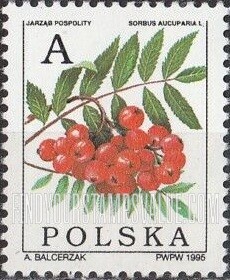 FindYourStampsValue: Deciduous Trees: Sorbus aucuparia