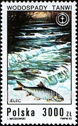 FindYourStampsValue: Waterfalls: Jelec (whiting)