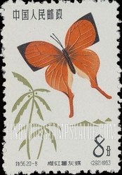 FindYourStampsValue: Butterfly: Yamfly - 蝴蝶: 橙红薯灰蝶