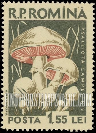 FindYourStampsValue: Mushrooms: Psalliota campestris