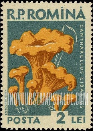 FindYourStampsValue: Mushrooms: Cantharellus cibarius