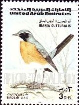 FindYourStampsValue: Birds - طيور