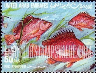 FindYourStampsValue: Fish: Red snapper - سمك: حمرا