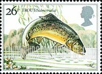 FindYourStampsValue: Great Britain (United Kingdom): River Fish - Trout