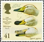 FindYourStampsValue: Great Britain (United Kingdom): Wildfowl and Wetlands Trust, 50th Anniversary - Whooper Swan