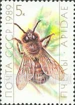 FindYourStampsValue: Russia: USSR, Honeybees - Drone