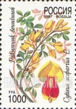 FindYourStampsValue: Russia: Russian Federation, Flowers - Cytisus Scoparius