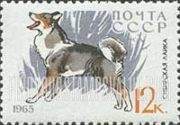 FindYourStampsValue: Russia: USSR, Dogs - Husky