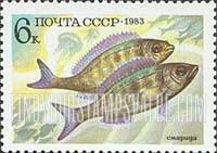 FindYourStampsValue: Russia: USSR, Food Fish - Perciformes