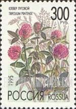 FindYourStampsValue: Russia: Russian Federation, Meadow Flowers - Trifolium Pratense