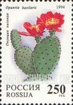 FindYourStampsValue: Russia: Russian Federation, Cactuses - Opuntia Basilaris