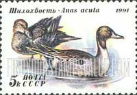FindYourStampsValue: Russia: USSR, Ducks - Anas Acuta