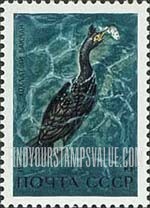 FindYourStampsValue: Russia: USSR, Waterfowl of the USSR - Bering's Cormorant