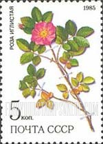 FindYourStampsValue: Russia: USSR, Medicinal Plants from Siberia - Rosa Acicularis Lindi