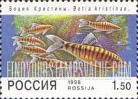 FindYourStampsValue: Russia: Russian Federation, Aquarium Fish - Botia Kristinae