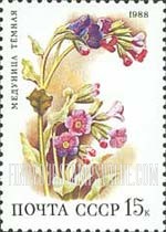 FindYourStampsValue: Russia: USSR, Flowers populating Deciduous Forests - Pulmonaria Obscura
