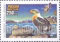 FindYourStampsValue: Russia: Russian Federation, Ducks - Somateria Spectabilis