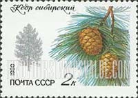 FindYourStampsValue: Russia: USSR, Flora - Siberian Pine