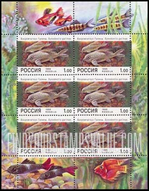 FindYourStampsValue: Russia: Russian Federation, Aquarium Fish - Synodontis Galinae
