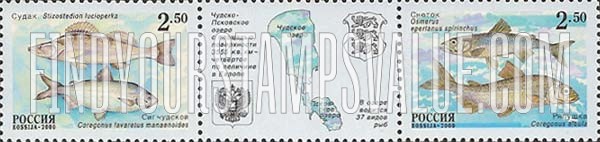 FindYourStampsValue: Russia: Russian Federation - Fish in Lake Peipus