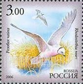 FindYourStampsValue: Russia: Russian Federation, Fauna of Sakha Republic - Rhodostethia Rosea